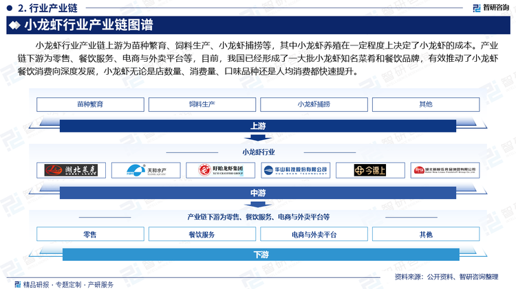 小龙虾行业产业链上游为苗种繁育、饲料生产、小龙虾捕捞等，其中小龙虾养殖在一定程度上决定了小龙虾的成本。产业链下游为零售、餐饮服务、电商与外卖平台等，目前，我国已经形成了一大批小龙虾知名菜肴和餐饮品牌，有效推动了小龙虾餐饮消费向深度发展，小龙虾无论是店数量、消费量、口味品种还是人均消费都快速提升。