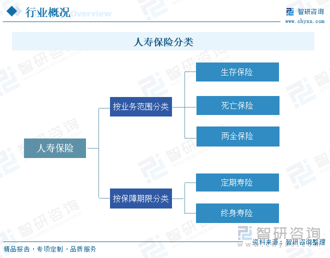 人寿保险分类