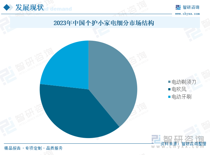 2023年中国个护小家电细分市场结构