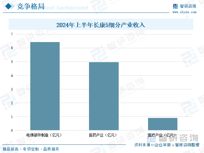 2024年上半年长康5细分产业收入