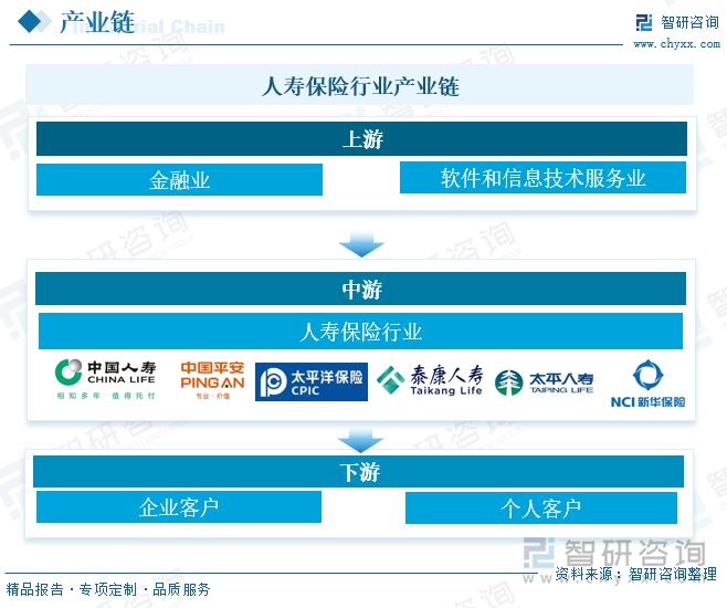 人寿保险行业产业链 