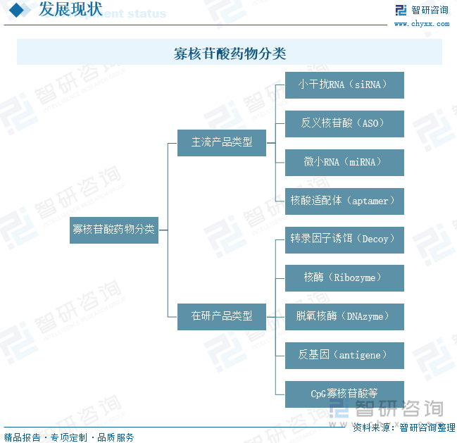 寡核苷酸藥物分類