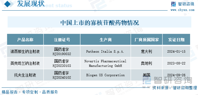  中國(guó)上市的寡核苷酸藥物情況