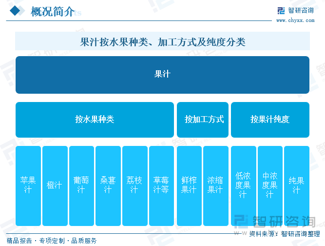 果汁按水果種類、加工方式及純度分類