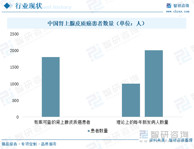 中国肾上腺皮质癌患者数量（单位：人）