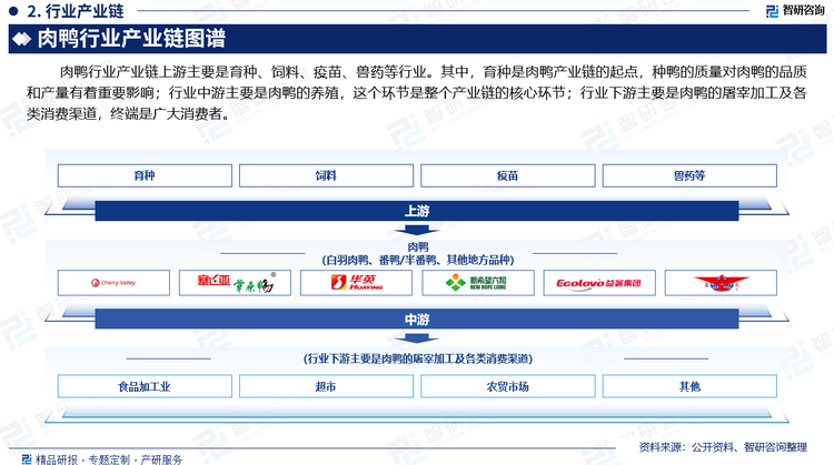 行业下游主要是肉鸭的屠宰加工及各类消费渠道。屠宰加工是肉鸭产业链中的重要环节之一，随着鸭肉的加工深度不断增加，食用方式、消费场景等方面的不断丰富，鸭肉食品深加工方面从传统的烤鸭、卤鸭、煲汤、休闲零食、火锅、预制菜等，为整个产业链带来新的空间。未来随着人们生活节奏加快，消费者对产品便利性、安全性等方面的需求提升，预计国内鸭肉产品将进一步向定制品、预制品和肉蛋奶菜粮相结合的熟制品方向转变，深加工率有望持续提升，消费终端产品种类会愈加丰富，市场前景将愈加广阔。