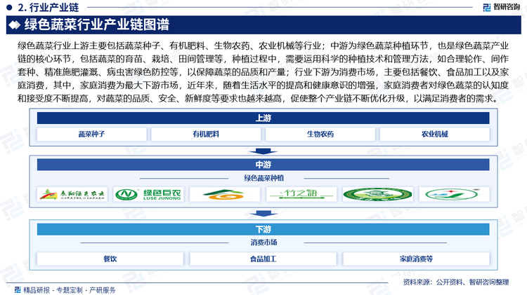 綠色蔬菜行業(yè)上游主要包括蔬菜種子、有機(jī)肥料、生物農(nóng)藥、農(nóng)業(yè)機(jī)械等行業(yè)；中游為綠色蔬菜種植環(huán)節(jié)，也是綠色蔬菜產(chǎn)業(yè)鏈的核心環(huán)節(jié)，包括蔬菜的育苗、栽培、田間管理等，種植過程中，需要運(yùn)用科學(xué)的種植技術(shù)和管理方法，如合理輪作、間作套種、精準(zhǔn)施肥灌溉、病蟲害綠色防控等，以保障蔬菜的品質(zhì)和產(chǎn)量；行業(yè)下游為消費(fèi)市場，主要包括餐飲、食品加工以及家庭消費(fèi)，其中，家庭消費(fèi)為最大下游市場，近年來，隨著生活水平的提高和健康意識(shí)的增強(qiáng)，家庭消費(fèi)者對(duì)綠色蔬菜的認(rèn)知度和接受度不斷提高，對(duì)蔬菜的品質(zhì)、安全、新鮮度等要求也越來越高，促使整個(gè)產(chǎn)業(yè)鏈不斷優(yōu)化升級(jí)，以滿足消費(fèi)者的需求。