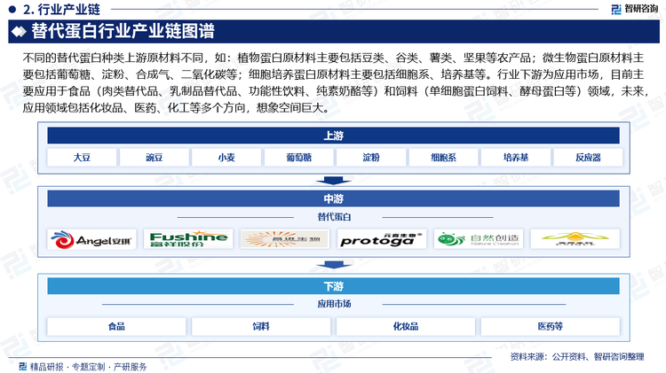 不同的替代蛋白种类上游原材料不同，如：植物蛋白原材料主要包括豆类、谷类、薯类、坚果等农产品；微生物蛋白原材料主要包括葡萄糖、淀粉、合成气、二氧化碳等；细胞培养蛋白原材料主要包括细胞系、培养基等。行业下游为应用市场，目前主要应用于食品（肉类替代品、乳制品替代品、功能性饮料、纯素奶酪等）和饲料（单细胞蛋白饲料、酵母蛋白等）领域，未来，应用领域包括化妆品、医药、化工等多个方向，想象空间巨大。