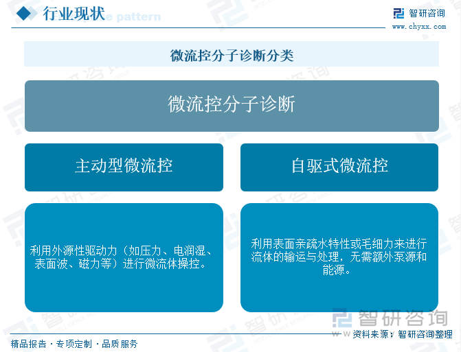 微流控分子诊断分类