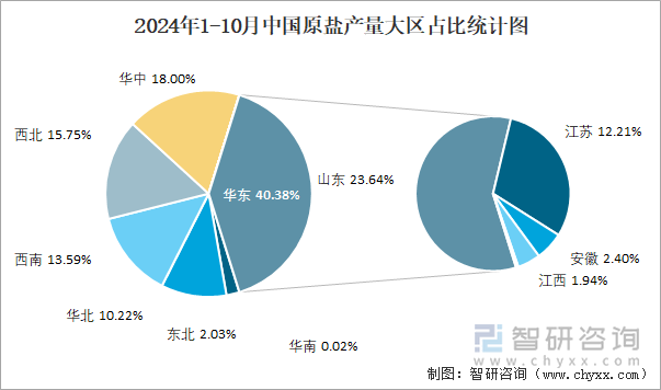 2024年1-10月中國(guó)原鹽產(chǎn)量大區(qū)占比統(tǒng)計(jì)圖