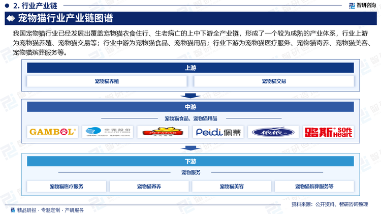 我国宠物猫行业已经发展出覆盖宠物猫衣食住行、生老病亡的上中下游全产业链，形成了一个较为成熟的产业体系，行业上游为宠物猫养殖、宠物猫交易等；行业中游为宠物猫食品、宠物猫用品；行业下游为宠物猫医疗服务、宠物猫寄养、宠物猫美容、宠物猫殡葬服务等。