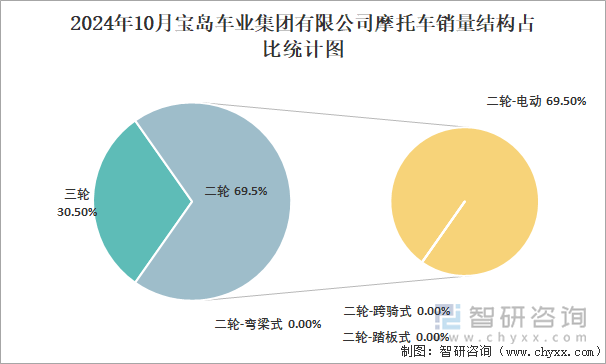 2024年10月寶島車業(yè)集團(tuán)有限公司摩托車銷量結(jié)構(gòu)占比統(tǒng)計(jì)圖