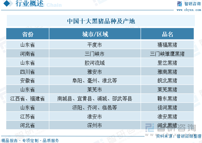 中国十大黑猪品种及产地