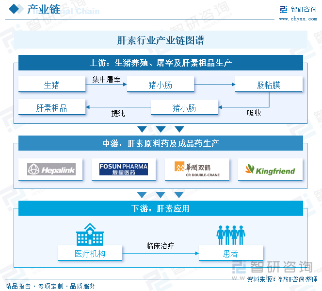 肝素行業(yè)產(chǎn)業(yè)鏈圖譜