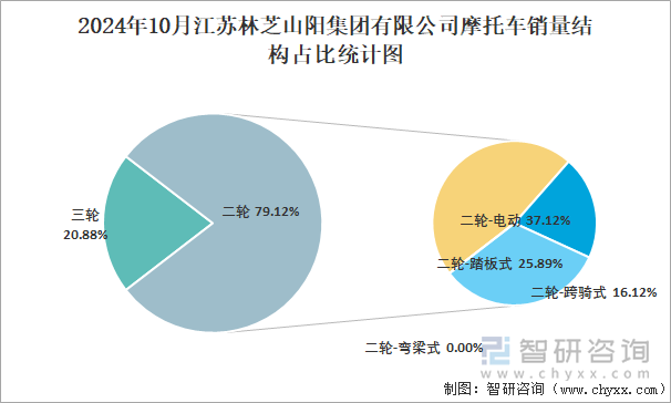 2024年10月江苏林芝山阳集团有限公司摩托车销量结构占比统计图