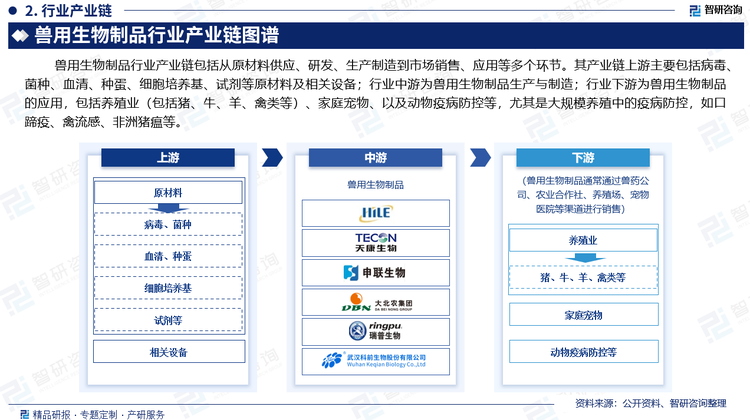 獸用生物制品行業(yè)產(chǎn)業(yè)鏈包括從原材料供應(yīng)、研發(fā)、生產(chǎn)制造到市場銷售、應(yīng)用等多個環(huán)節(jié)。其產(chǎn)業(yè)鏈上游主要包括病毒、菌種、血清、種蛋、細(xì)胞培養(yǎng)基、試劑等原材料及相關(guān)設(shè)備；行業(yè)中游為獸用生物制品生產(chǎn)與制造；行業(yè)下游為獸用生物制品的應(yīng)用，包括養(yǎng)殖業(yè)（包括豬、牛、羊、禽類等）、家庭寵物、以及動物疫病防控等，尤其是大規(guī)模養(yǎng)殖中的疫病防控，如口蹄疫、禽流感、非洲豬瘟等。