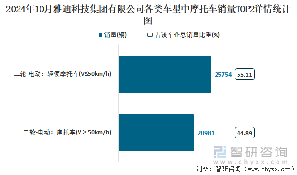 2024年10月雅迪科技集团有限公司各类车型中摩托车销量TOP2详情统计图