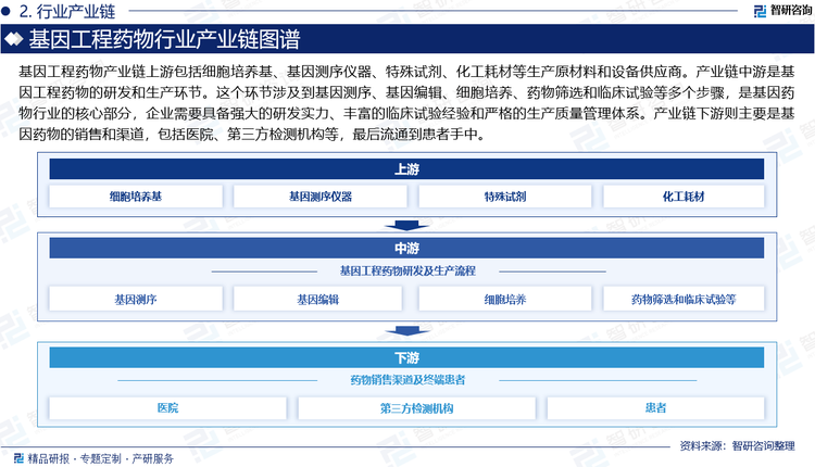 产业链下游则主要是基因药物的销售和渠道，包括医院、药店、第三方检测机构等。这些机构是基因药物最终到达患者的重要环节，其销售和服务能力直接影响到基因药物的市场推广和应用。同时，政府监管机构、学术研究机构、医疗保险公司等也在整个产业链中发挥着重要作用，它们对基因药物的审批、定价、报销等政策制定和实施，对行业的发展具有重要影响。