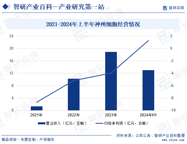 2021-2024年上半年神州細(xì)胞經(jīng)營(yíng)情況