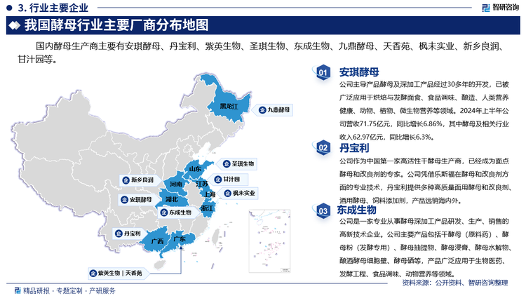 其中安琪酵母主导产品酵母及深加工产品经过30多年的开发，已被广泛应用于烘焙与发酵面食、食品调味、酿造、人类营养健康、动物、植物、微生物营养等领域。2024年上半年公司营收71.75亿元，同比增长6.86%，其中酵母及相关行业收入62.97亿元，同比增长6.3%。丹宝利作为中国第一家高活性干酵母生产商，已经成为面点酵母和改良剂的专家。公司凭借乐斯福在酵母和改良剂方面的专业技术，丹宝利提供多种高质量面用酵母和改良剂、酒用酵母、饲料添加剂，产品远销海内外。东成生物是一家专业从事酵母深加工产品研发、生产、销售的高新技术企业。公司主要产品包括干酵母（原料药）、酵母粉（发酵专用）、酵母抽提物、酵母浸膏、酵母水解物、酿酒酵母细胞壁、酵母硒等，产品广泛应用于生物医药、发酵工程、食品调味、动物营养等领域。