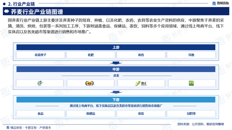 国荞麦行业产业链上游主要涉及荞麦种子的培育、种植，以及化肥、农药、农具等农业生产资料的供应，中游聚焦于荞麦的采摘、清洗、烘焙、包装等一系列加工工序，下游则涵盖食品、保健品、茶饮、饲料等多个应用领域，通过线上电商平台、线下实体店以及各类超市等渠道进行销售和市场推广。