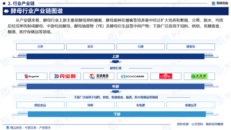 从产业链来看，酵母行业上游主要是酵母原料糖蜜，酵母菌种在糖蜜等培养基中经过扩大培养和繁殖、分离，脱水，均质后经压榨而制成酵母；中游包括酵母、酵母抽提物（YE）及酵母衍生品等中间产物；下游广泛应用于饲料、烘焙、发酵面食、酿酒、医疗保健品等领域。