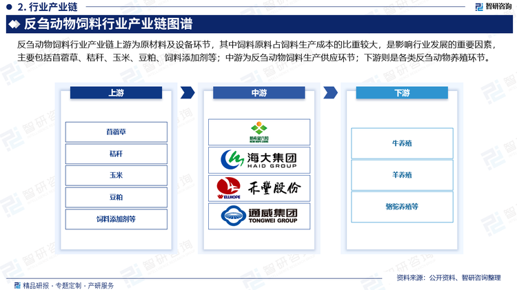反芻動(dòng)物飼料行業(yè)產(chǎn)業(yè)鏈上游為原材料及設(shè)備環(huán)節(jié)，其中飼料原料占飼料生產(chǎn)成本的比重較大，是影響行業(yè)發(fā)展的重要因素，主要包括苜蓿草、秸稈、玉米、豆粕、飼料添加劑等；中游為反芻動(dòng)物飼料生產(chǎn)供應(yīng)環(huán)節(jié)；下游則是各類(lèi)反芻動(dòng)物養(yǎng)殖環(huán)節(jié)。