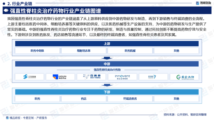 我國強直性脊柱炎治療藥物行業(yè)的產(chǎn)業(yè)鏈涵蓋了從上游原料供應到中游藥物研發(fā)與制造，再到下游銷售與終端消費的全流程。上游主要包括醫(yī)藥中間體、細胞培養(yǎng)基等關鍵原料的供應，以及醫(yī)藥機械等生產(chǎn)設備的支持，為中游的藥物研發(fā)與生產(chǎn)提供了堅實的基礎。中游的強直性脊柱炎治療藥物行業(yè)專注于藥物的研發(fā)、制造與質(zhì)量控制，通過科技創(chuàng)新不斷提高藥物療效與安全性。下游則涉及到醫(yī)藥批發(fā)、藥店銷售等流通環(huán)節(jié)，以及最終的終端消費者，如強直性脊柱炎患者及其家屬。