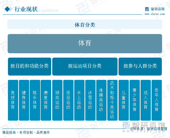 体育分类