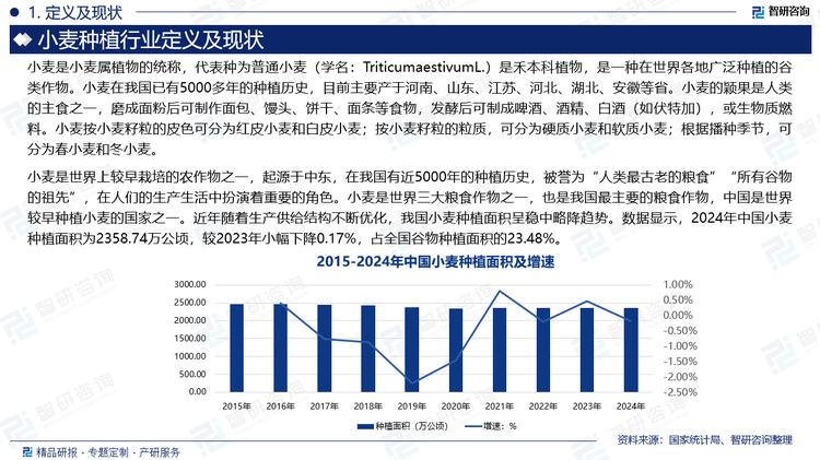 小麥?zhǔn)鞘澜缟陷^早栽培的農(nóng)作物之一，起源于中東，在我國(guó)有近5000年的種植歷史，被譽(yù)為“人類最古老的糧食”“所有谷物的祖先”，在人們的生產(chǎn)生活中扮演著重要的角色。小麥?zhǔn)鞘澜缛蠹Z食作物之一，也是我國(guó)最主要的糧食作物，中國(guó)是世界較早種植小麥的國(guó)家之一。近年隨著生產(chǎn)供給結(jié)構(gòu)不斷優(yōu)化，我國(guó)小麥種植面積呈穩(wěn)中略降趨勢(shì)。數(shù)據(jù)顯示，2024年中國(guó)小麥種植面積為2358.74萬(wàn)公頃，較2023年小幅下降0.17%，占全國(guó)谷物種植面積的23.48%。
