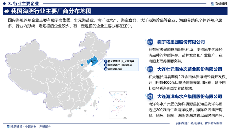 中国海胆养殖行业主要集中于山东、辽宁、广东地区，2023年山东、辽宁、广东地区海胆产量规模占比接近100%，其中山东地区产量最大。国内海胆养殖企业主要有獐子岛集团、壮元海苗业、海洋岛水产、海宝食品、大洋岛海珍品等企业。海胆养殖以个体养殖户居多，行业内形成一定规模的企业较少，有一定规模的企业主要分布在辽宁。