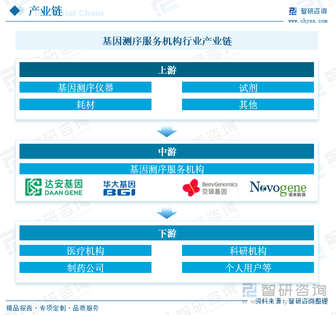 基因测序服务机构行业产业链