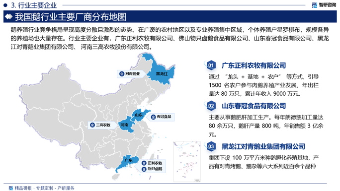 鹅养殖行业竞争格局呈现高度分散且激烈的态势。在广袤的农村地区以及专业养殖集中区域，个体养殖户星罗棋布，规模各异的养殖场也大量存在。行业主要企业有，广东正利农牧有限公司、佛山物只卤鹅食品有限公司、山东春冠食品有限公司、黑龙江对青鹅业集团有限公司、 河南三高农牧股份有限公司。