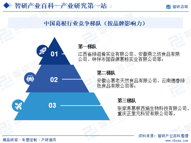 中國(guó)葛根行業(yè)競(jìng)爭(zhēng)梯隊(duì)（按品牌影響力）