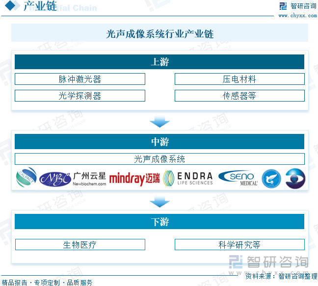 光声成像系统行业产业链