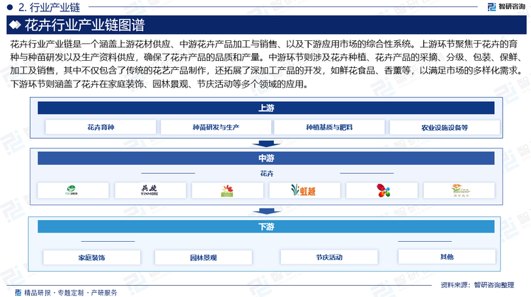 花卉行業(yè)產(chǎn)業(yè)鏈?zhǔn)且粋€涵蓋上游花材供應(yīng)、中游花卉產(chǎn)品加工與銷售、以及下游應(yīng)用市場的綜合性系統(tǒng)。上游環(huán)節(jié)聚焦于花卉的育種與種苗研發(fā)以及生產(chǎn)資料供應(yīng)，確保了花卉產(chǎn)品的品質(zhì)和產(chǎn)量。中游環(huán)節(jié)則涉及花卉種植、花卉產(chǎn)品的采摘、分級、包裝、保鮮、加工及銷售，其中不僅包含了傳統(tǒng)的花藝產(chǎn)品制作，還拓展了深加工產(chǎn)品的開發(fā)，如鮮花食品、香薰等，以滿足市場的多樣化需求。下游環(huán)節(jié)則涵蓋了花卉在家庭裝飾、園林景觀、節(jié)慶活動等多個領(lǐng)域的應(yīng)用。