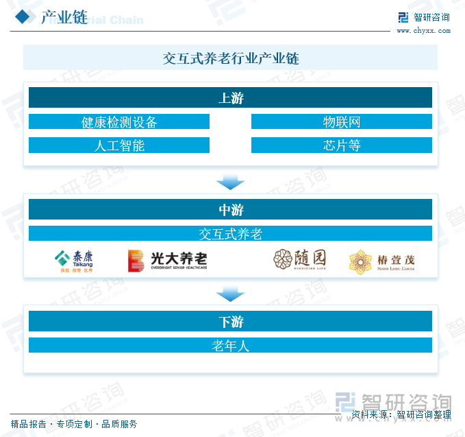 交互式养老行业产业链