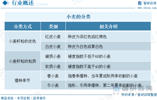 小麥的分類