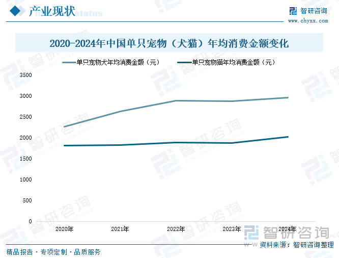 2020-2024年中国单只宠物（犬猫）年均消费金额变化