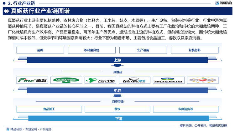 真姬菇行业上游主要包括菌种、农林废弃物（棉籽壳、玉米芯、麸皮、木屑等）、生产设备、包装材料等行业；行业中游为真姬菇种植环节，是真姬菇产业链的核心环节之一，目前，我国真姬菇的种植方式主要有工厂化栽培和传统的大棚栽培两种，工厂化栽培具有生产效率高、产品质量稳定、可周年生产等优点，逐渐成为主流的种植方式，但前期投资较大，而传统大棚栽培则相对成本较低，但受季节和环境因素影响较大；行业下游为消费市场，主要包括食品加工、餐饮以及家庭消费。