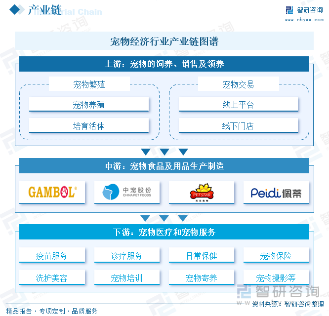 宠物经济行业产业链图谱