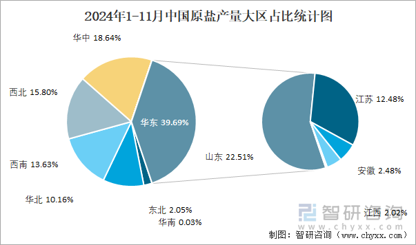 2024年1-11月中國原鹽產(chǎn)量大區(qū)占比統(tǒng)計圖