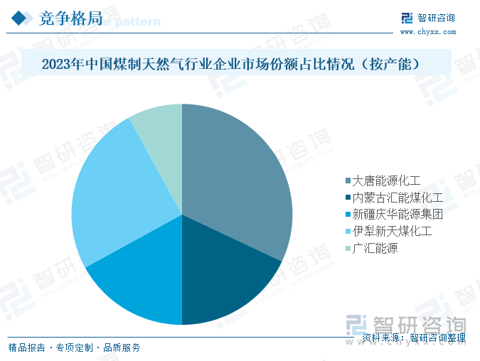 2023年中国煤制天然气行业企业市场份额占比情况（按产能）