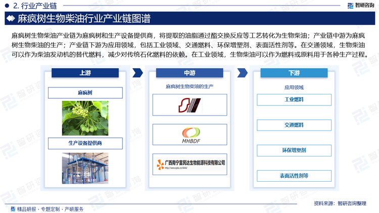 麻疯树生物柴油产业链为麻疯树和生产设备提供商，将提取的油脂通过酯交换反应等工艺转化为生物柴油；产业链中游为麻疯树生物柴油的生产；产业链下游为应用领域，包括工业领域、交通燃料、环保增塑剂、表面活性剂等。在交通领域，生物柴油可以作为柴油发动机的替代燃料，减少对传统石化燃料的依赖。在工业领域，生物柴油可以作为燃料或原料用于各种生产过程。