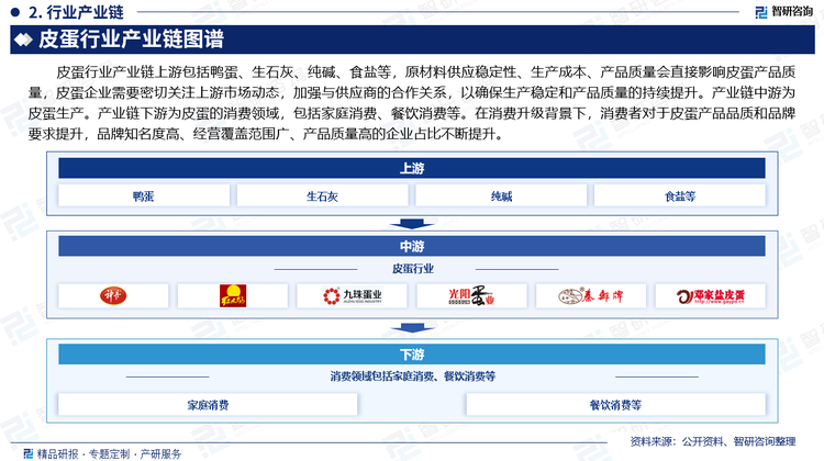 皮蛋行业产业链上游包括鸭蛋、生石灰、纯碱、食盐等，目前，我国鸭蛋消费呈稳定增长态势：一是鸭蛋消费在禽蛋消费中的比重基本保持不变，占26%左右；二是受饮食习惯的影响，鸭蛋消费以传统品类为主，主要为咸鸭蛋和皮蛋。原材料供应稳定性、生产成本、产品质量会直接影响皮蛋产品质量，皮蛋企业需要密切关注上游市场动态，加强与供应商的合作关系，以确保生产稳定和产品质量的持续提升。产业链中游为皮蛋生产。产业链下游为皮蛋的消费领域，包括家庭消费、餐饮消费等。在消费升级背景下，消费者对于皮蛋产品品质和品牌要求提升，品牌知名度高、经营覆盖范围广、产品质量高的企业占比不断提升。