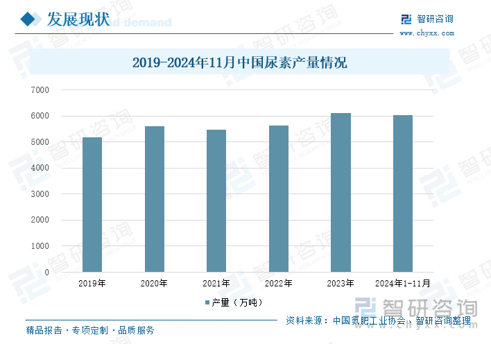 2019-2024年11月中国尿素产量情况