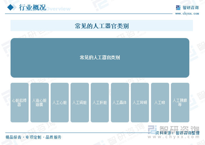 常見的人工器官類別