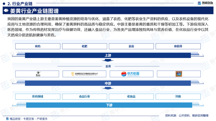 我国的姜黄产业链上游主要是姜黄种植资源的培育与优化，涵盖了农药、化肥等农业生产资料的供应，以及农机设备的现代化应用与土地资源的合理利用，确保了姜黄原料的高品质与稳定供应。中游主要是姜黄的重质和干燥等初加工等。下游应用深入医药领域，作为传统药材发挥治疗与保健功效，还融入食品行业，为各类产品增添独特风味与营养价值，在化妆品行业中以其天然成分促进肌肤健康与美容。