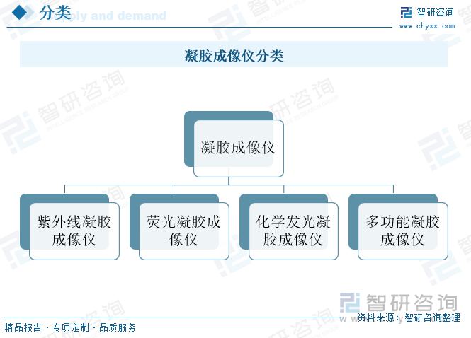 凝胶成像仪分类