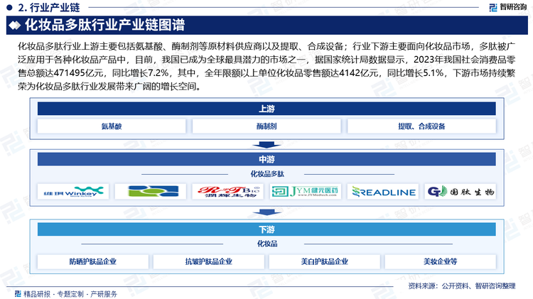 化妆品多肽行业上游主要包括氨基酸、酶制剂等原材料供应商以及提取、合成设备；行业下游主要面向化妆品市场，多肽被广泛应用于各种化妆品产品中，目前，我国已成为全球最具潜力的市场之一，据国家统计局数据显示，2023年我国社会消费品零售总额达471495亿元，同比增长7.2%，其中，全年限额以上单位化妆品零售额达4142亿元，同比增长5.1%，下游市场持续繁荣为化妆品多肽行业发展带来广阔的增长空间。